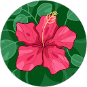 susan madill profile picture